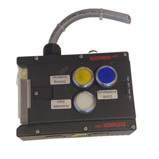 Euchner MGB-L1-APA-AA6A1-S0-R-110585 Sicherheitsschalter Euchner Schalter1