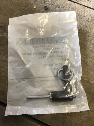 10x SCHNELLVERSCHLUSS-PIN ms17986c3090