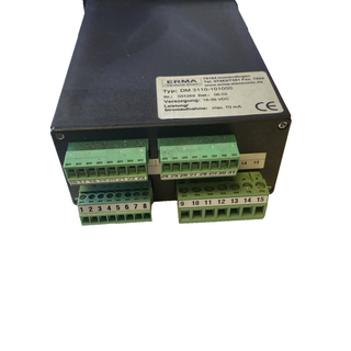 ERMA METER DM 3110-1010003