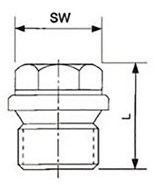 6x SPRINGER 33116012T Verschlussschraube DIN 910 EN 10226-1 NPS 1/21