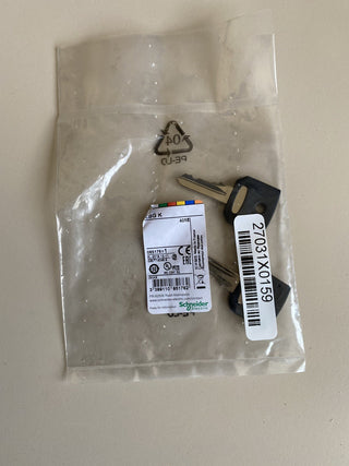 Schneider Electric ZBGK Spezialschlüssel (2 Stück) – für Harmony XB4 Not-Aus3