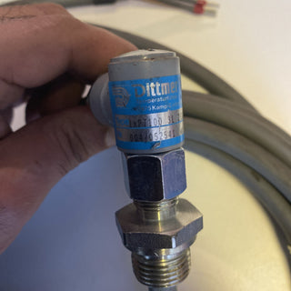 Dittmer 1xPT100 3L Temperaturfühler | 100 mm | NEU (Sonstige)5